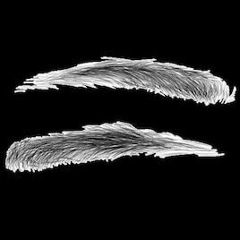 White Eyebrow Clan / Клан Белой Брови (RU)